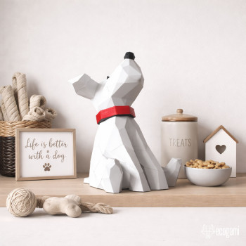 Cute puppy